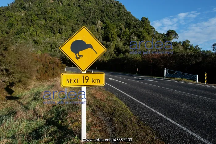: Kiwi warning sign : Kiwi warning sign