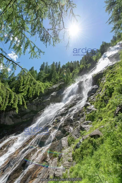 : Kleinbachfall, waterfall in the mountains, Hohe : Kleinbachfall, waterfall in the mountains, Hohe