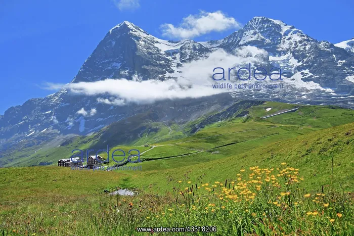 : Kleine Scheidegg off the Eiger and Mnnch, Wengen : Kleine Scheidegg off the Eiger and Mnnch, Wengen