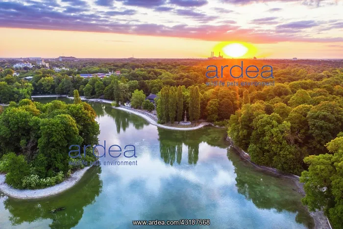 : Kleinhesseloher See at sunrise, English Garden : Kleinhesseloher See at sunrise, English Garden