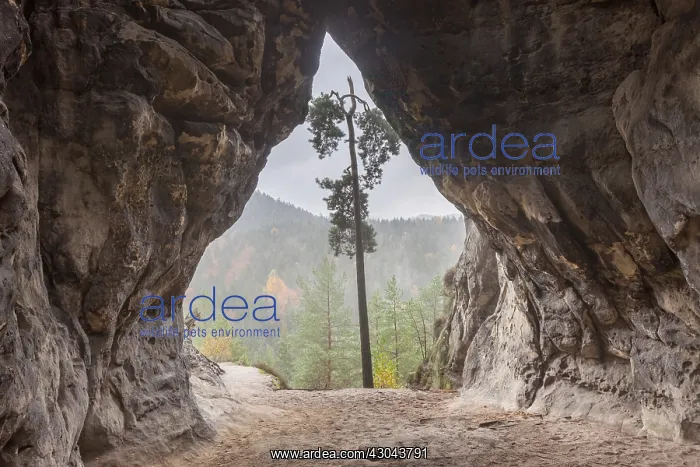 : Kleinstein-cave - Saxon Switzerland national : Kleinstein-cave - Saxon Switzerland national