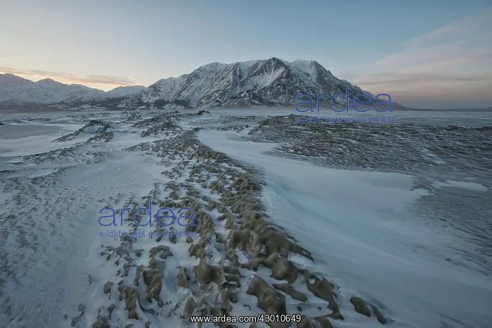 : Kluane Lake frozen in winter Kluane National Park : Kluane Lake frozen in winter Kluane National Park