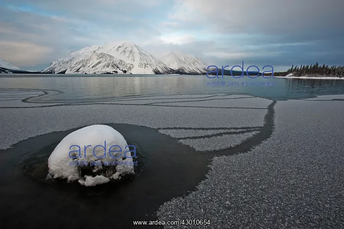  : Kluane Lake frozen in winter Kluane National Park