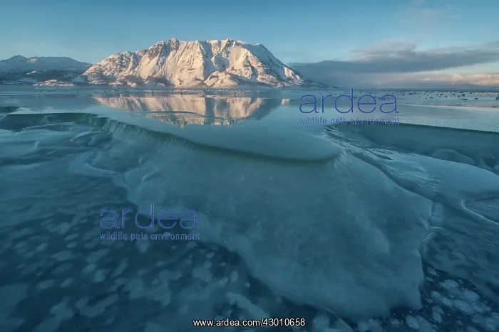 : Kluane Lake frozen in winter Kluane National Park : Kluane Lake frozen in winter Kluane National Park