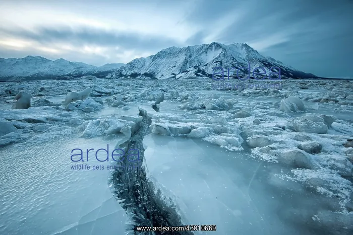 : Kluane Lake frozen in winter Kluane National Park : Kluane Lake frozen in winter Kluane National Park