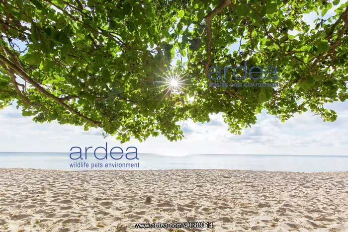 : Knaebaeckshusen beach : Knaebaeckshusen beach