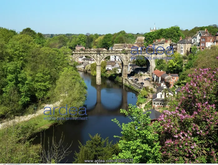  : Knaresborough Viaduct in Spring
