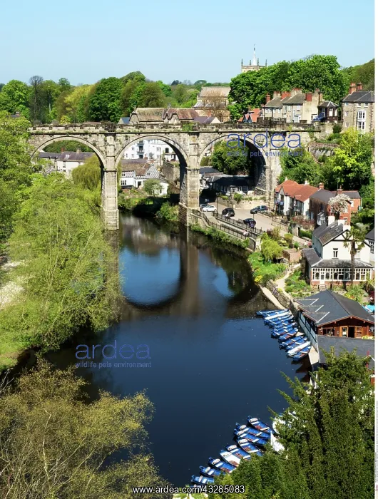 : Knaresborough Viaduct in Spring : Knaresborough Viaduct in Spring