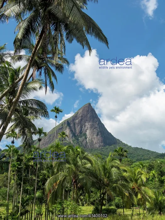 : Knuckles mountain range with Lakegala mountain and : Knuckles mountain range with Lakegala mountain and