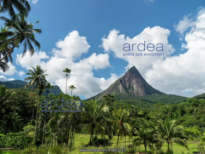 : Knuckles mountain range with Lakegala mountain and : Knuckles mountain range with Lakegala mountain and