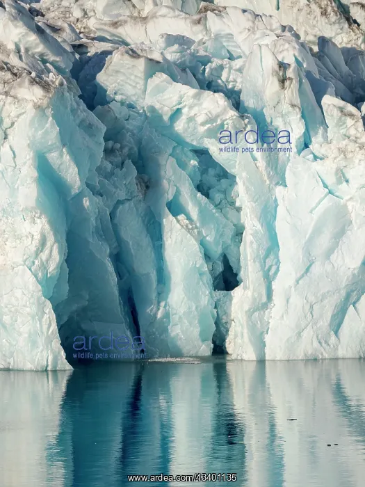: Knud Rasmussen Glacier (also called Apuseeq Glacier) : Knud Rasmussen Glacier (also called Apuseeq Glacier)
