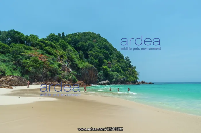 : Ko Kradan, Talay Trang archipelago, Thailand : Ko Kradan, Talay Trang archipelago, Thailand