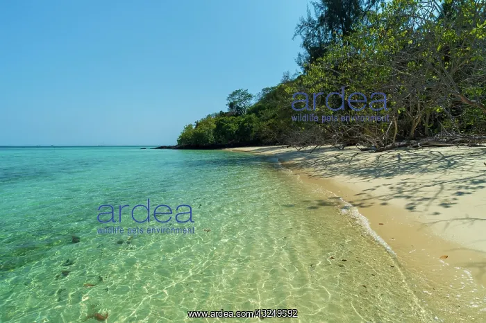 : Ko Kradan, Talay Trang archipelago, Thailand : Ko Kradan, Talay Trang archipelago, Thailand