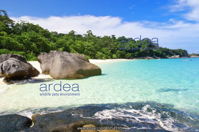 : Ko Miang Island, Simil Islands on Andam : Ko Miang Island, Simil Islands on Andam