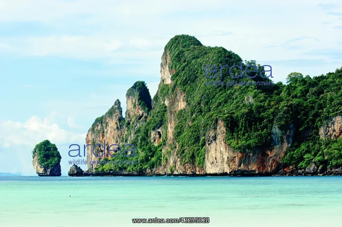 : Ko Phi Phi Island on Andaman Sea, Krabi : Ko Phi Phi Island on Andaman Sea, Krabi