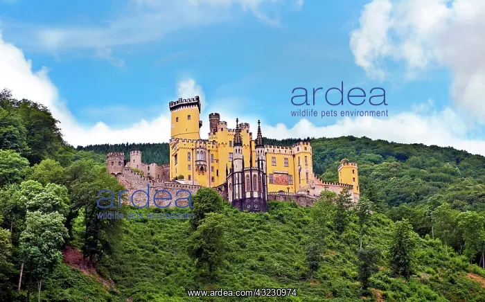 : Koblenz, Germany, Stolzenfels Castle, Schloss : Koblenz, Germany, Stolzenfels Castle, Schloss