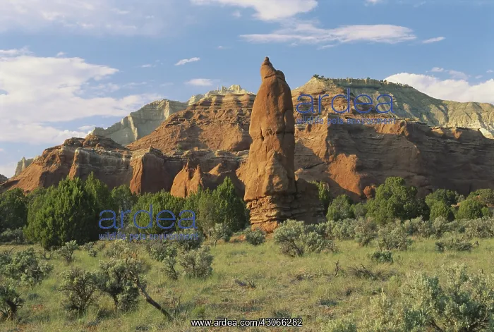 : Kodachrome Basin, Utah : Kodachrome Basin, Utah