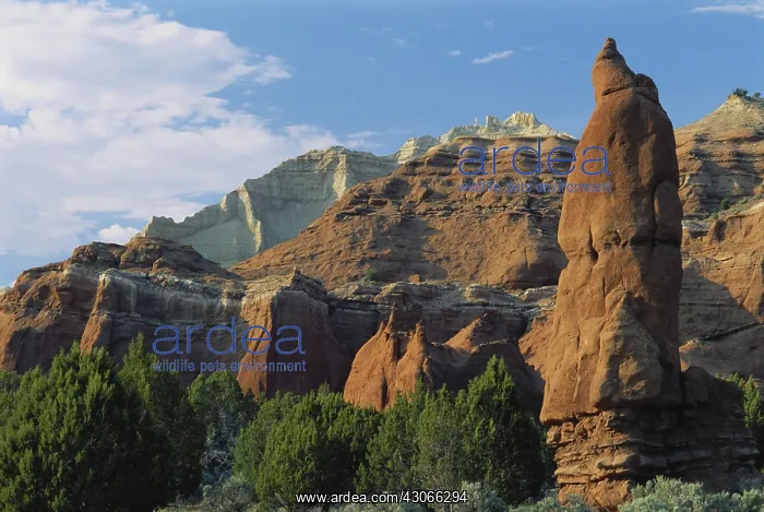 : Kodachrome Basin, Utah : Kodachrome Basin, Utah
