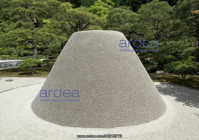 : Kogetsudai sand pile at Ginkaku-ji, Zen Temple of : Kogetsudai sand pile at Ginkaku-ji, Zen Temple of