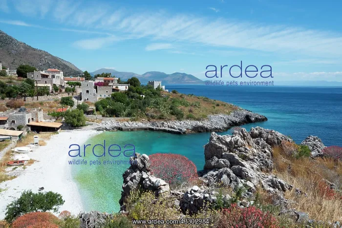 : Kokkala, Cove, Bay, Mani, Laconia, Peloponnese : Kokkala, Cove, Bay, Mani, Laconia, Peloponnese