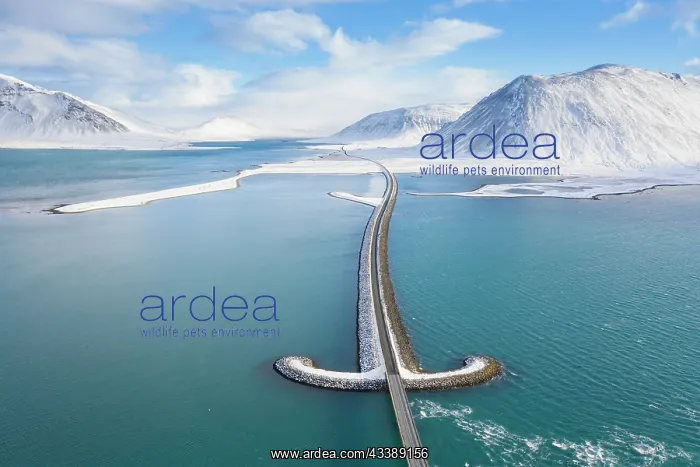 : Kolgrafarfjoerdur bridge : Kolgrafarfjoerdur bridge