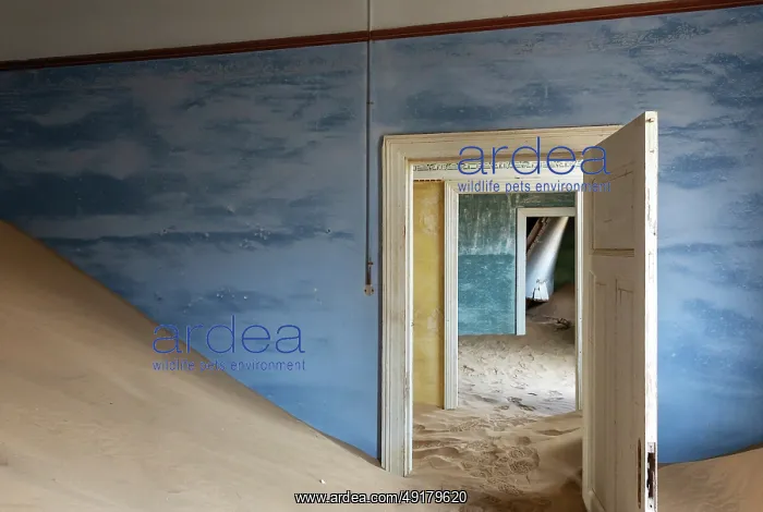 : At Kolmanskop, the abandoned ghost town of the diamond days of the early 1900 and of German origin : At Kolmanskop, the abandoned ghost town of the diamond days of the early 1900 and of German origin