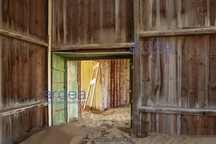 : At Kolmanskop, the abandoned ghost town of the diamond days of the early 1900 and of German origin : At Kolmanskop, the abandoned ghost town of the diamond days of the early 1900 and of German origin