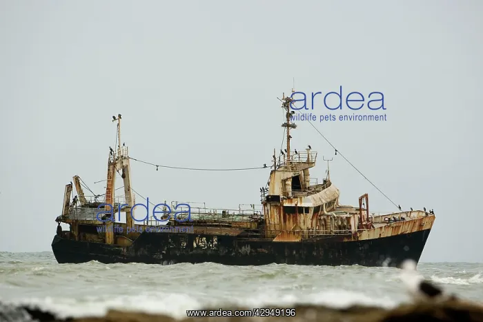 : The Kolmanskop ship wreck : The Kolmanskop ship wreck