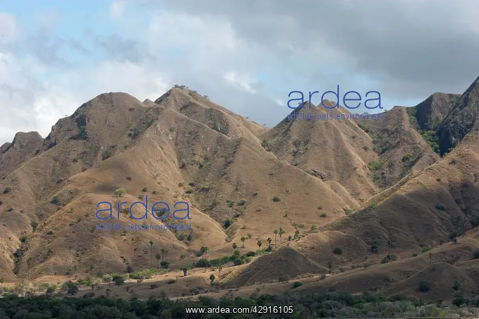  : Komodo Island - Indonesia