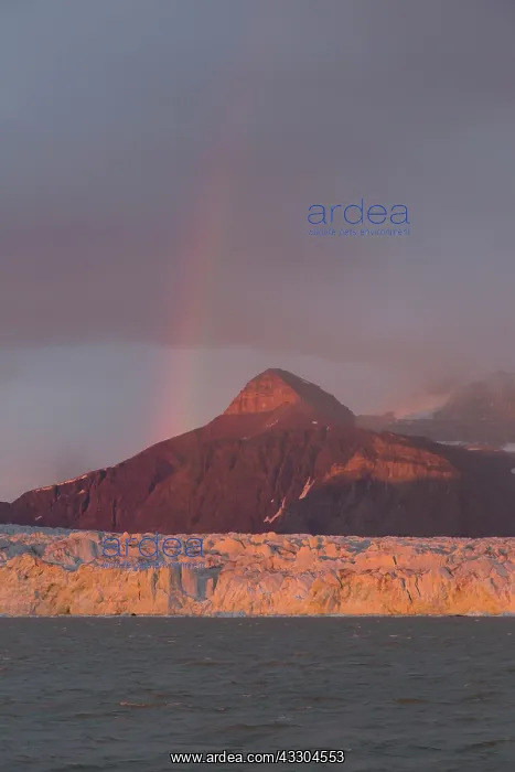 : Kongsbreen glacier in evening light at Kongsfjord : Kongsbreen glacier in evening light at Kongsfjord