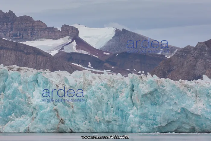 : Kongsbreen glacier at Kongsfjord - Svalbard, Norway : Kongsbreen glacier at Kongsfjord - Svalbard, Norway