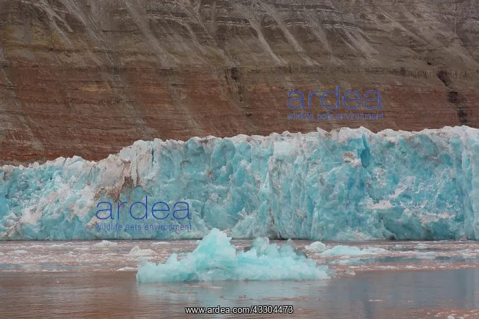  : Kongsbreen glacier at Kongsfjord - Svalbard, Norway