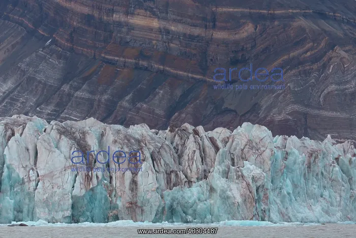 : Kongsbreen glacier at Kongsfjord - Svalbard, Norway : Kongsbreen glacier at Kongsfjord - Svalbard, Norway