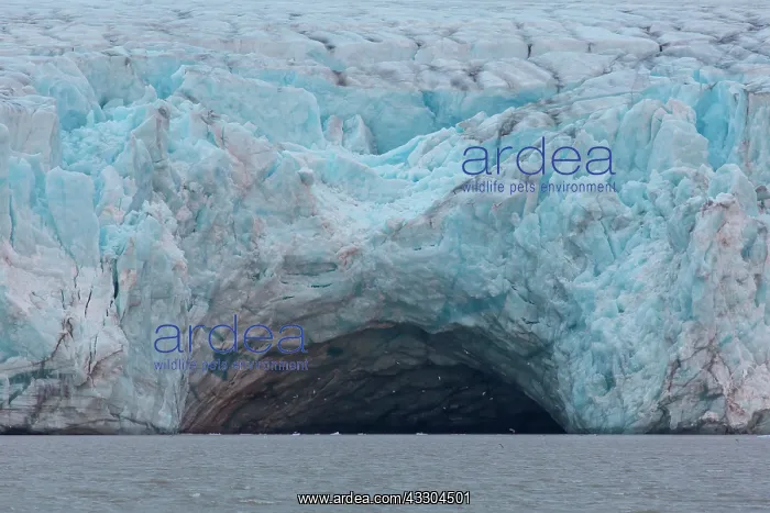 : Kongsbreen glacier at Kongsfjord - Svalbard, Norway : Kongsbreen glacier at Kongsfjord - Svalbard, Norway