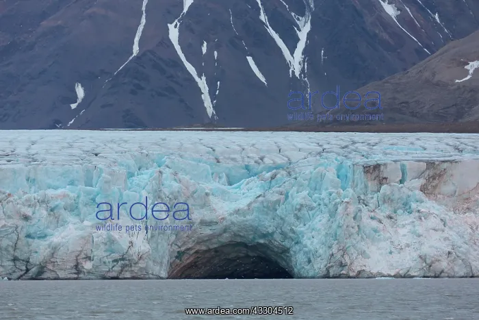 : Kongsbreen glacier at Kongsfjord - Svalbard, Norway : Kongsbreen glacier at Kongsfjord - Svalbard, Norway