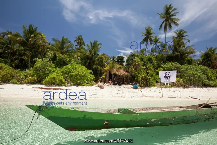 : 'Koon Marine reserve WWF-Indonesia project Territorial....' : 'Koon Marine reserve WWF-Indonesia project Territorial....'