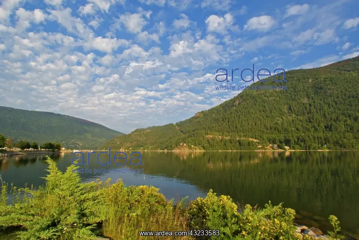 : Kootenay Lake in Nelson British Columbia : Kootenay Lake in Nelson British Columbia