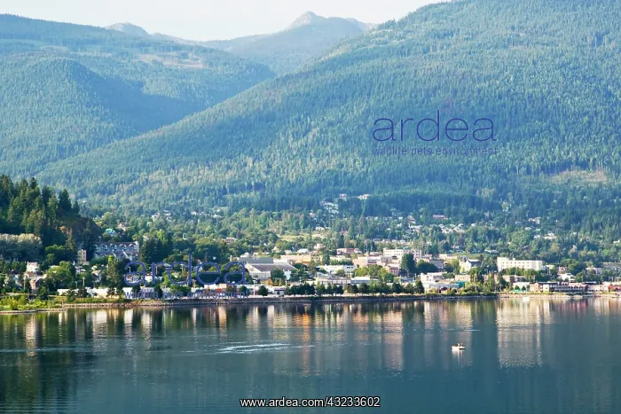 : Kootenay Lake in Nelson British Columbia : Kootenay Lake in Nelson British Columbia