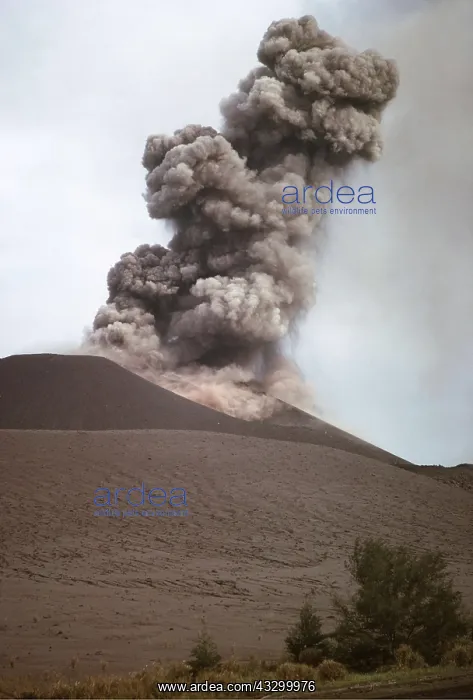 : KRAKATAU VOLCANO : KRAKATAU VOLCANO