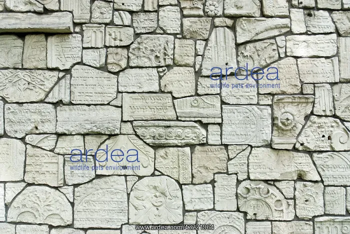 : Krakow, Poland. Commemorative wall composed : Krakow, Poland. Commemorative wall composed
