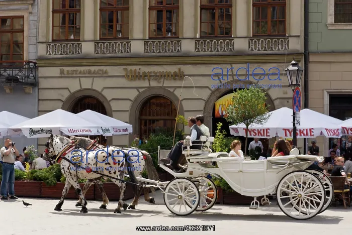 : Krakow, Poland. Facade of Wawell Cathedral : Krakow, Poland. Facade of Wawell Cathedral