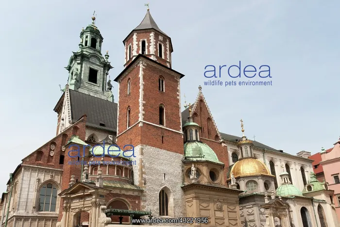 : Krakow, Poland. Wawel Cathedral on Wawel : Krakow, Poland. Wawel Cathedral on Wawel
