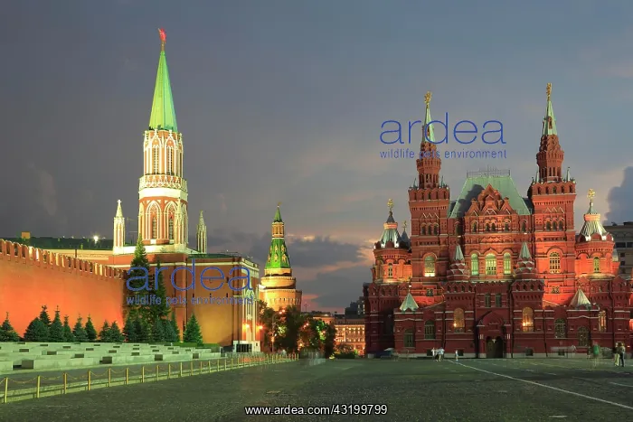 : Krasnaya Ploshchad or Red Square with the Kremlin : Krasnaya Ploshchad or Red Square with the Kremlin