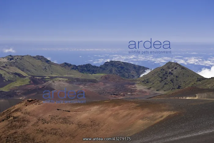 : Krater des Haleakala Vulkan, Maui, Hawaii, USA | : Krater des Haleakala Vulkan, Maui, Hawaii, USA |