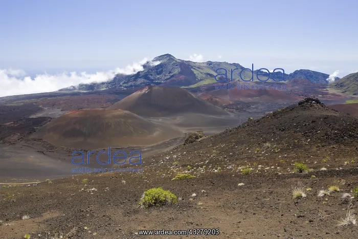 : Krater des Haleakala Vulkan, Maui, Hawaii, USA | : Krater des Haleakala Vulkan, Maui, Hawaii, USA |