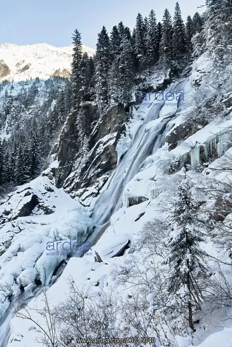 : The Krimml waterfalls in the National Park : The Krimml waterfalls in the National Park