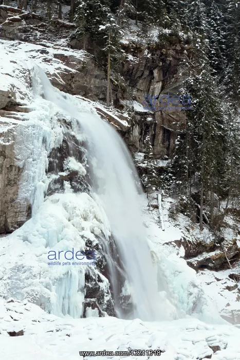 : The Krimml waterfalls in the National Park : The Krimml waterfalls in the National Park
