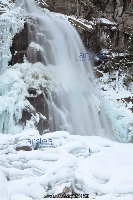 : The Krimml waterfalls in the National Park : The Krimml waterfalls in the National Park