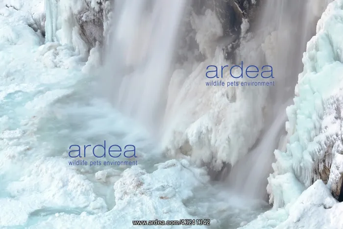 : The Krimml waterfalls in the National Park : The Krimml waterfalls in the National Park