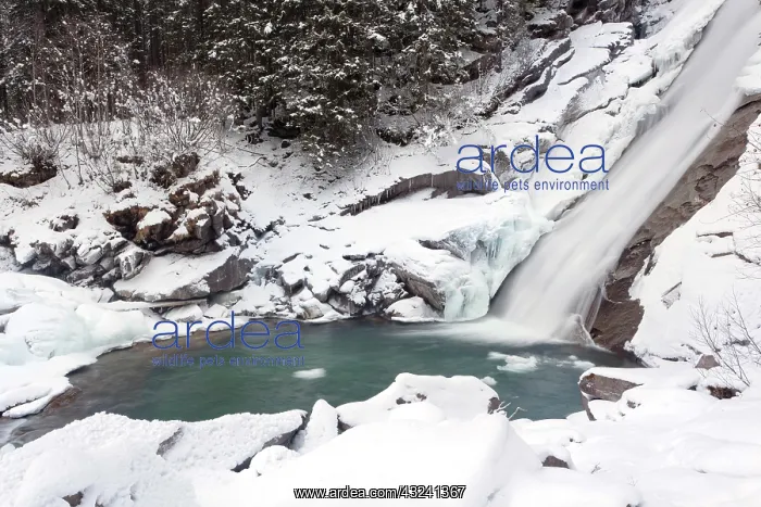: The Krimml waterfalls in the National Park : The Krimml waterfalls in the National Park